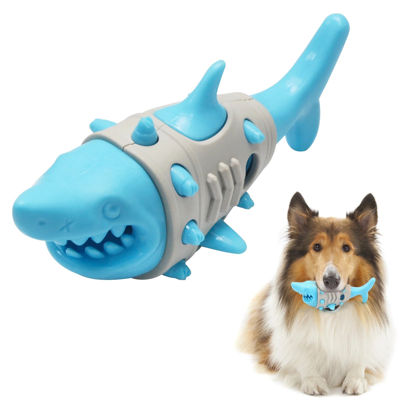 Blue shark-shaped dog chew toy with spikes, shown with a Collie holding it in its mouth.