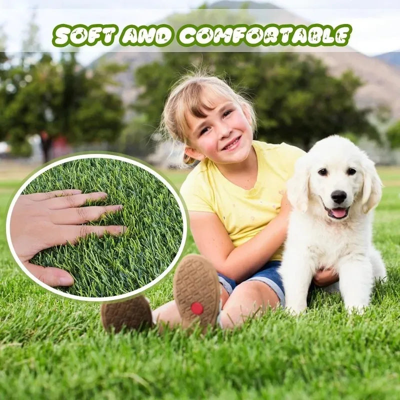 Sacf2a556ad5247fe971e2ba66a8bcd27C - bestdoggylife.shop