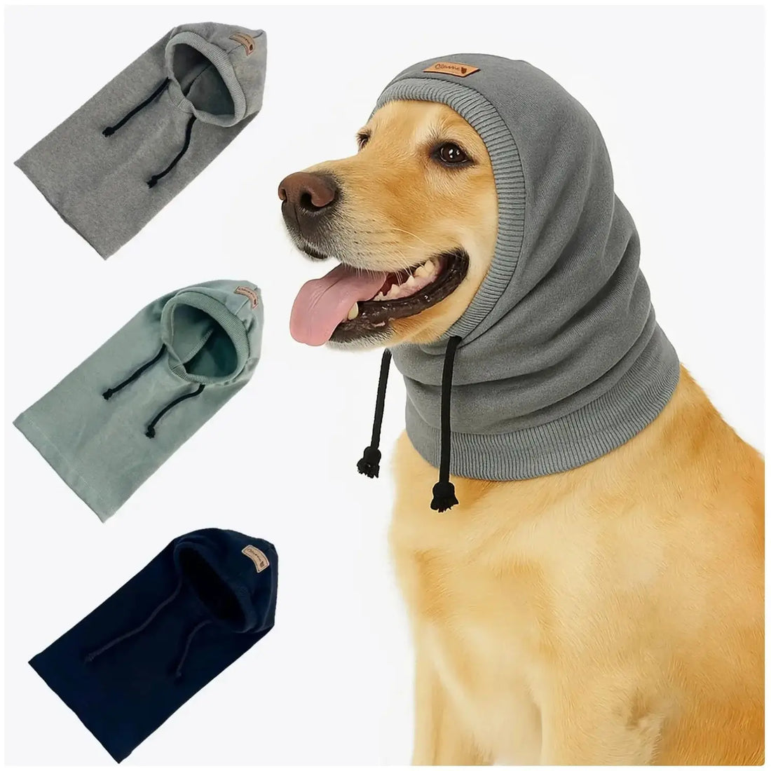 Golden retriever wearing a cozy dog hoodie snood, displayed in gray, blue, and green colors.