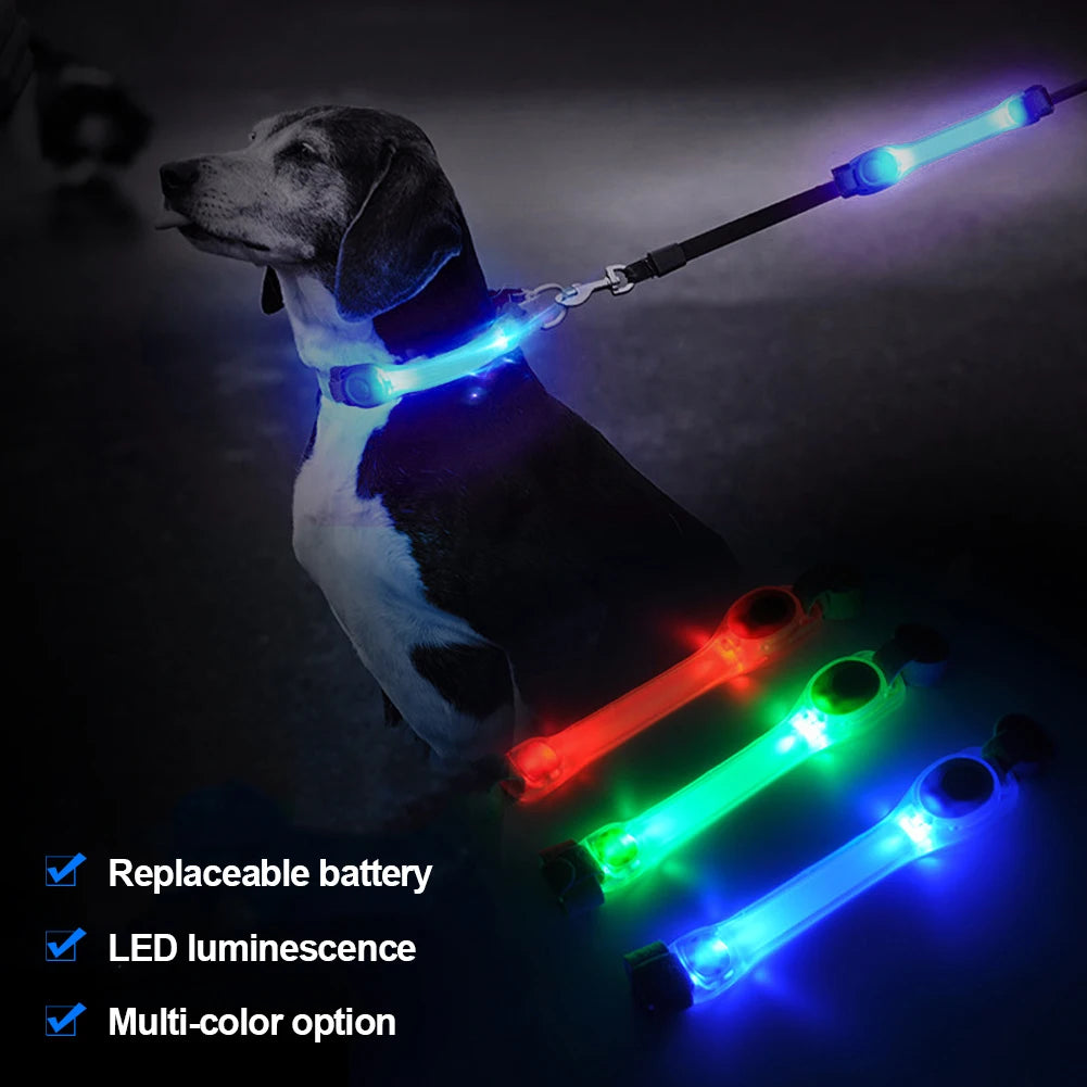 Dog Glowing Collar &amp; Leash Anti Lost Safety Outdoor Waterproof Warning LED Flashing Light Strip Pet Harness Dog Accessories