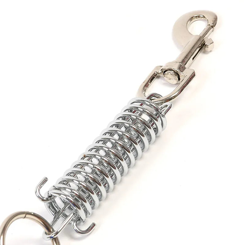 durable dog leash for large dogs spring leash with chrome clip and chew-proof metal coil for walking big dogs