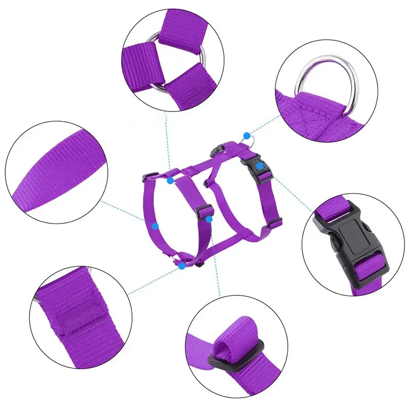 Adjustable dog harness purple H-shaped nylon harness with buckle, D-ring, and padded straps for outdoor travel