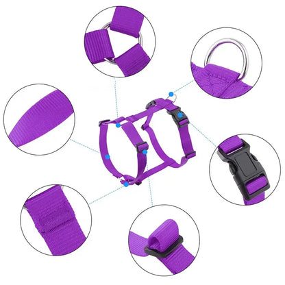 Adjustable dog harness purple H-shaped nylon harness with buckle, D-ring, and padded straps for outdoor travel