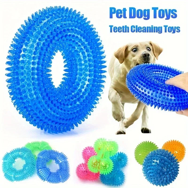 Colorful spiky rubber dog chew rings and balls for teeth cleaning, with a dog playing fetch.