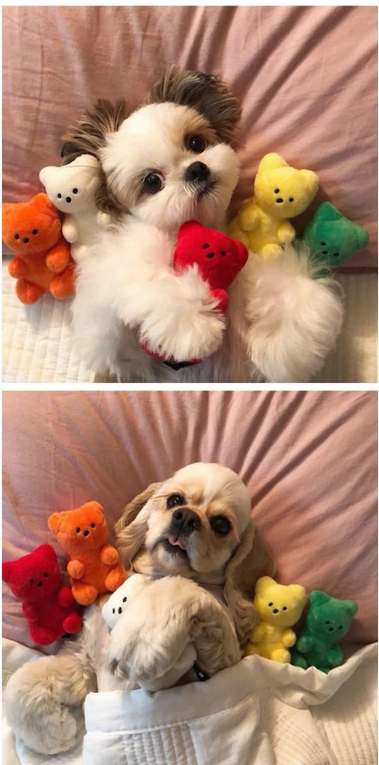 small dog squeaky toy plush bear for puppies and cats, colorful fleece toys for Pomeranian, Teddy, Shih Tzu, Pug