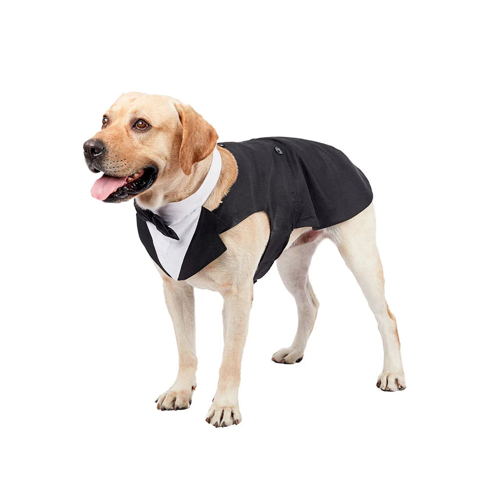 Sb0479097da6346b39f765655015ba597L - bestdoggylife.shop