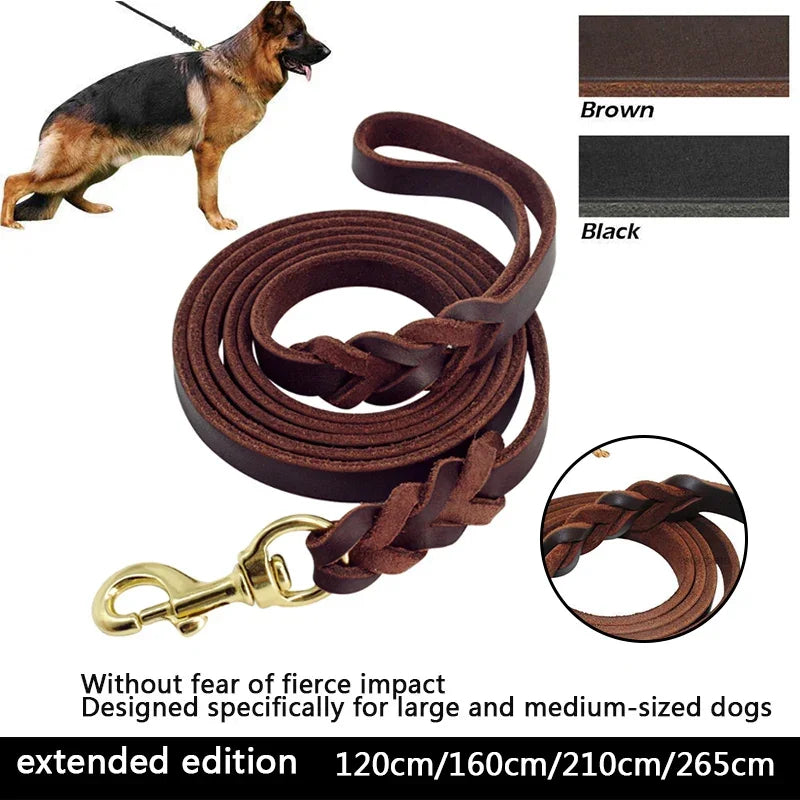 Sb08f47f3e1374e9399237ed899c3e008y - bestdoggylife.shop