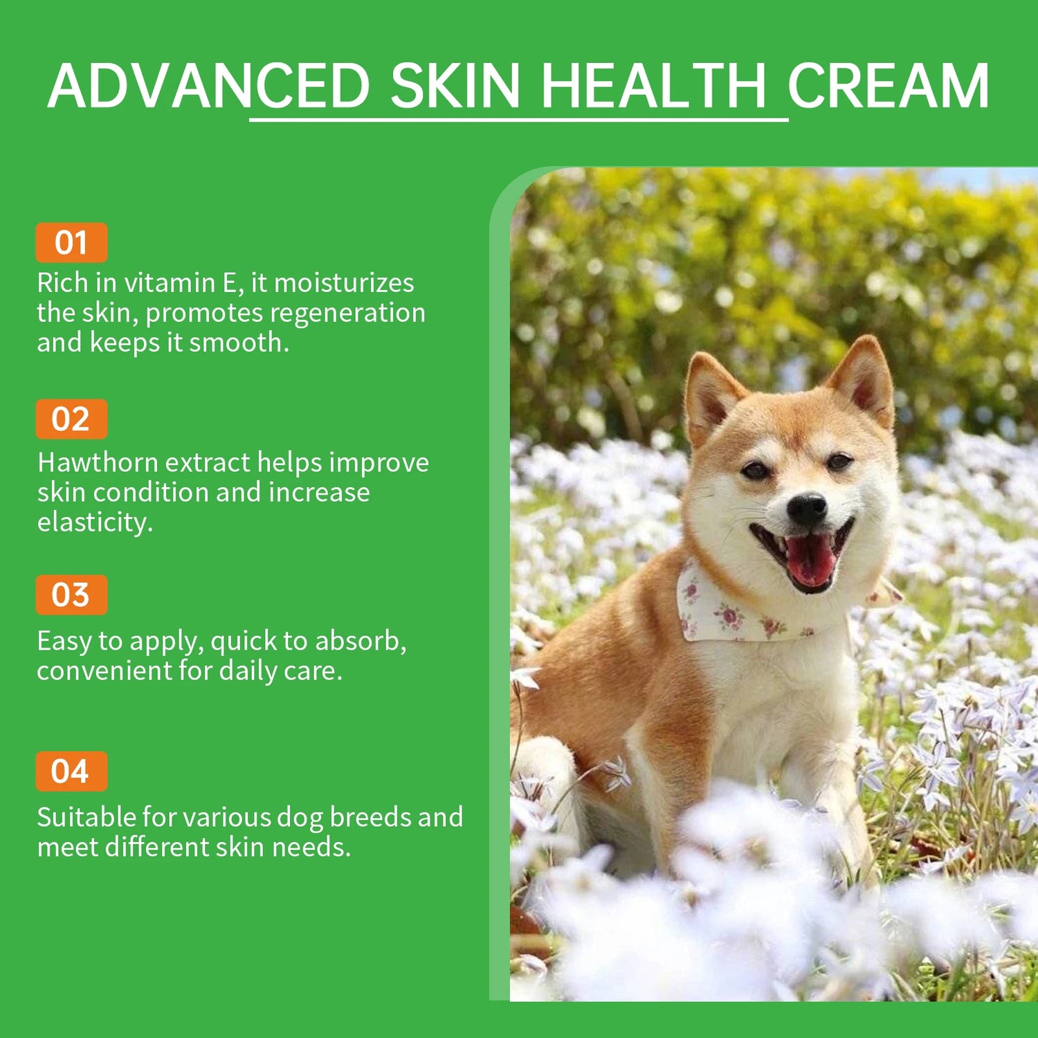 Sb0d5875997a54a70abed1060d63badd9D_2187cb41-b603-4c6c-b356-8dcacac113b1 - bestdoggylife.shop