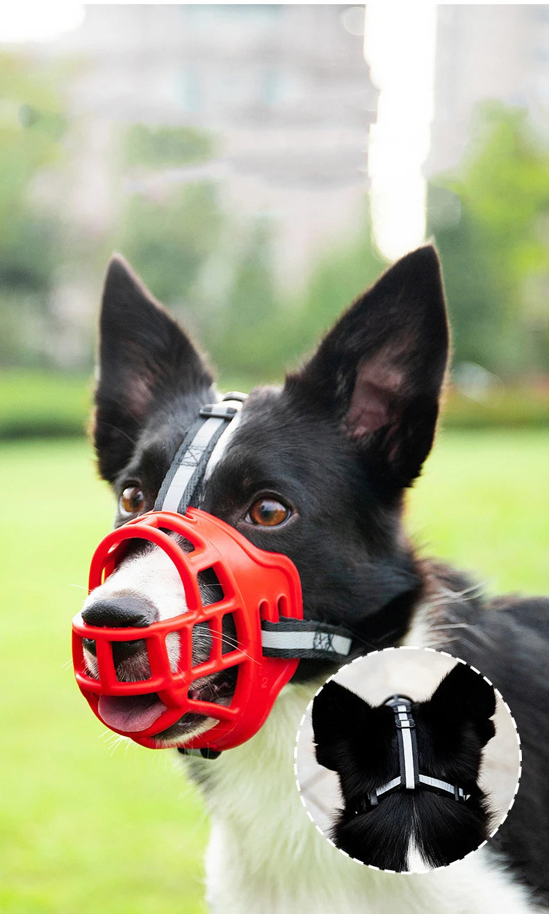 Sb0d6c34fcbed477c978d5b5ae85e1c1aA_ad61a611-8c78-4bb8-9e2e-3f27163f875a - bestdoggylife.shop