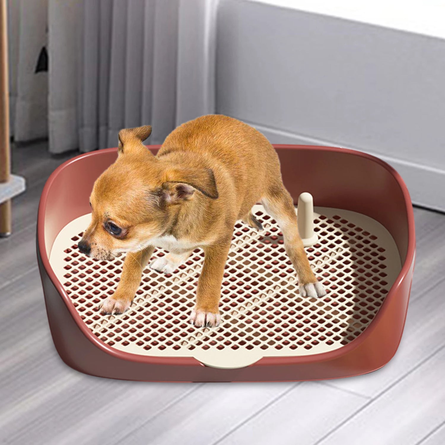 Sb0f7f9d97d424f67a332176f5440addaw - bestdoggylife.shop