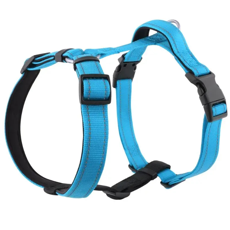 Blue dog harness vest with reflective nylon straps, quick release buckles, and adjustable fit for small to large dogs