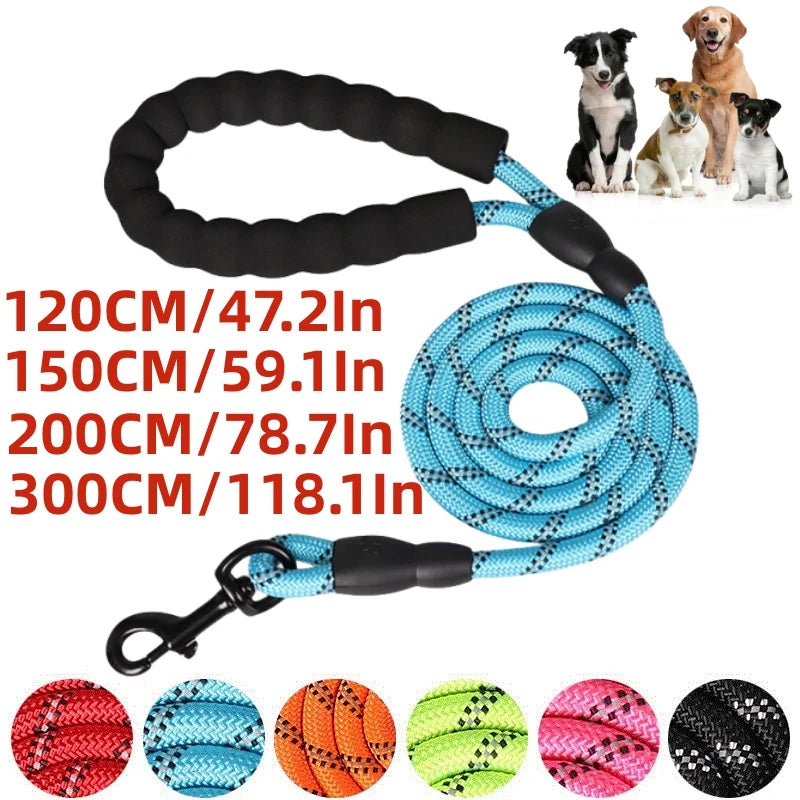 Sb179a1a59a804f9abb333253b07f9bc2h - bestdoggylife.shop