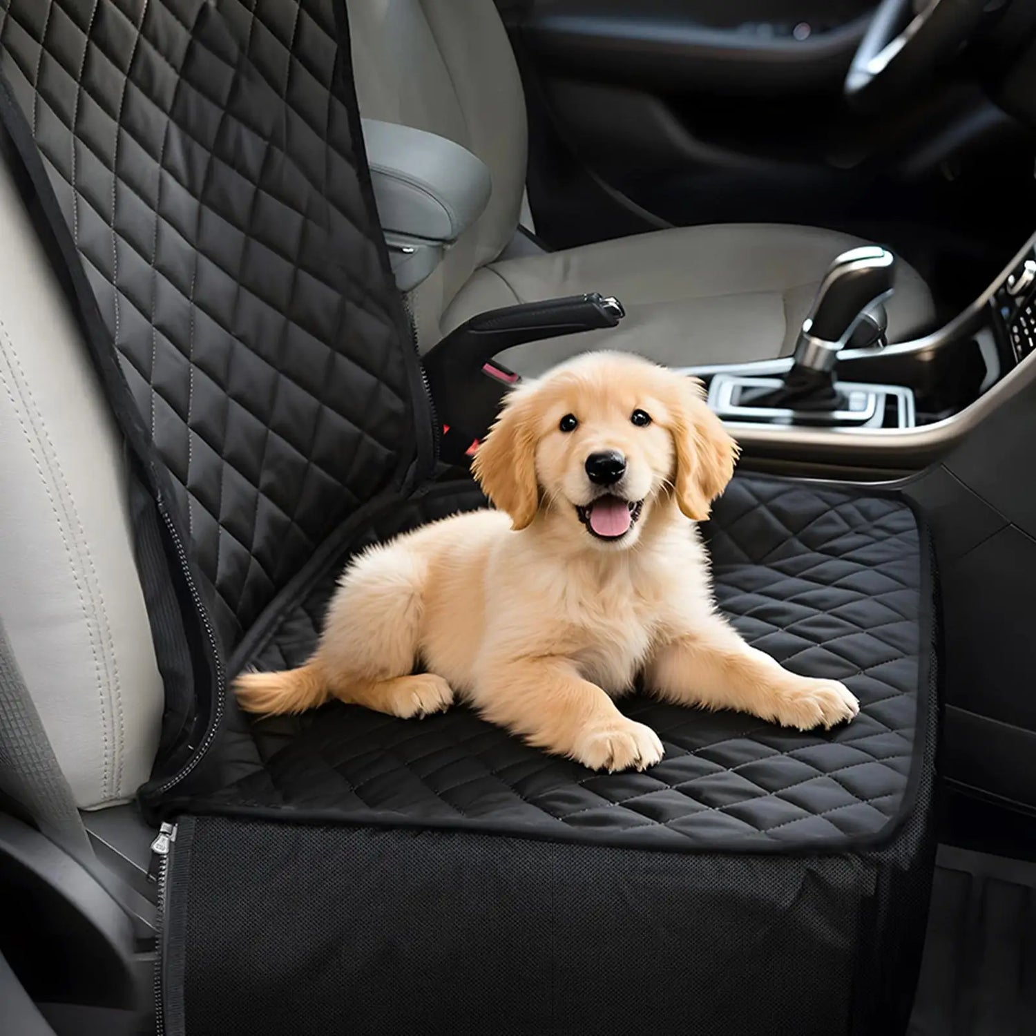 Sb1d9faa9783d41418ea58866c7086c17E - bestdoggylife.shop