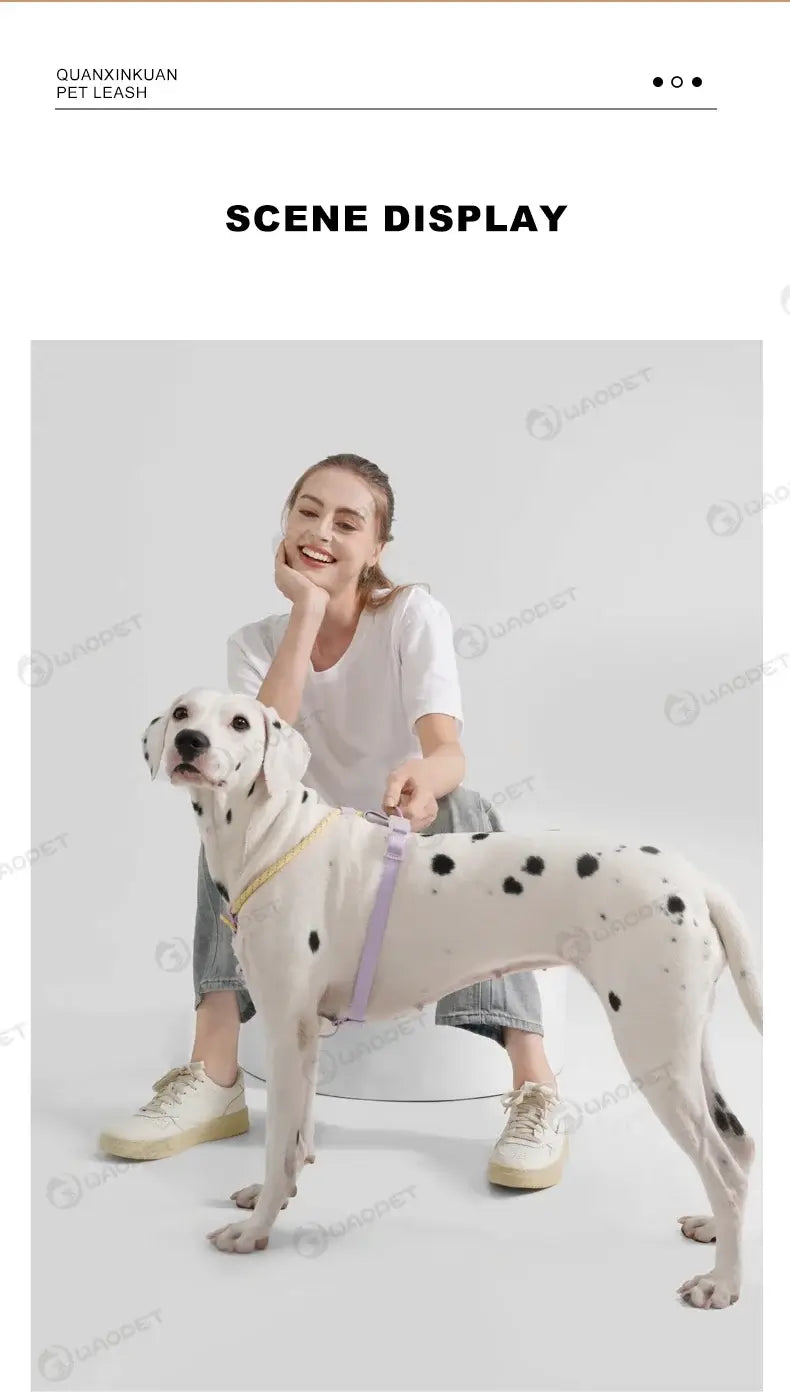 Cooling no pull dog harness on a Dalmatian for secure, comfortable spring and summer walks