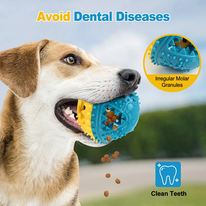 Dog chewing blue and yellow textured dental toy ball for clean teeth and oral health