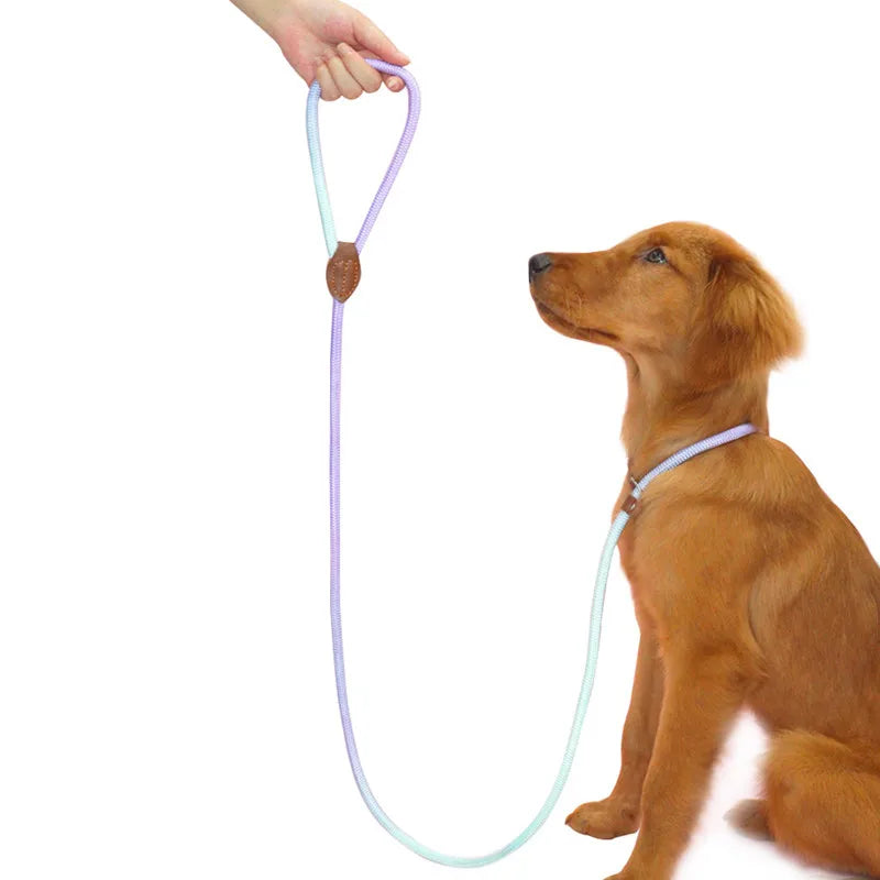 Sb2b24b659d824c34bf8db1350af55f5b3 - bestdoggylife.shop