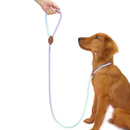 Sb2b24b659d824c34bf8db1350af55f5b3 - bestdoggylife.shop