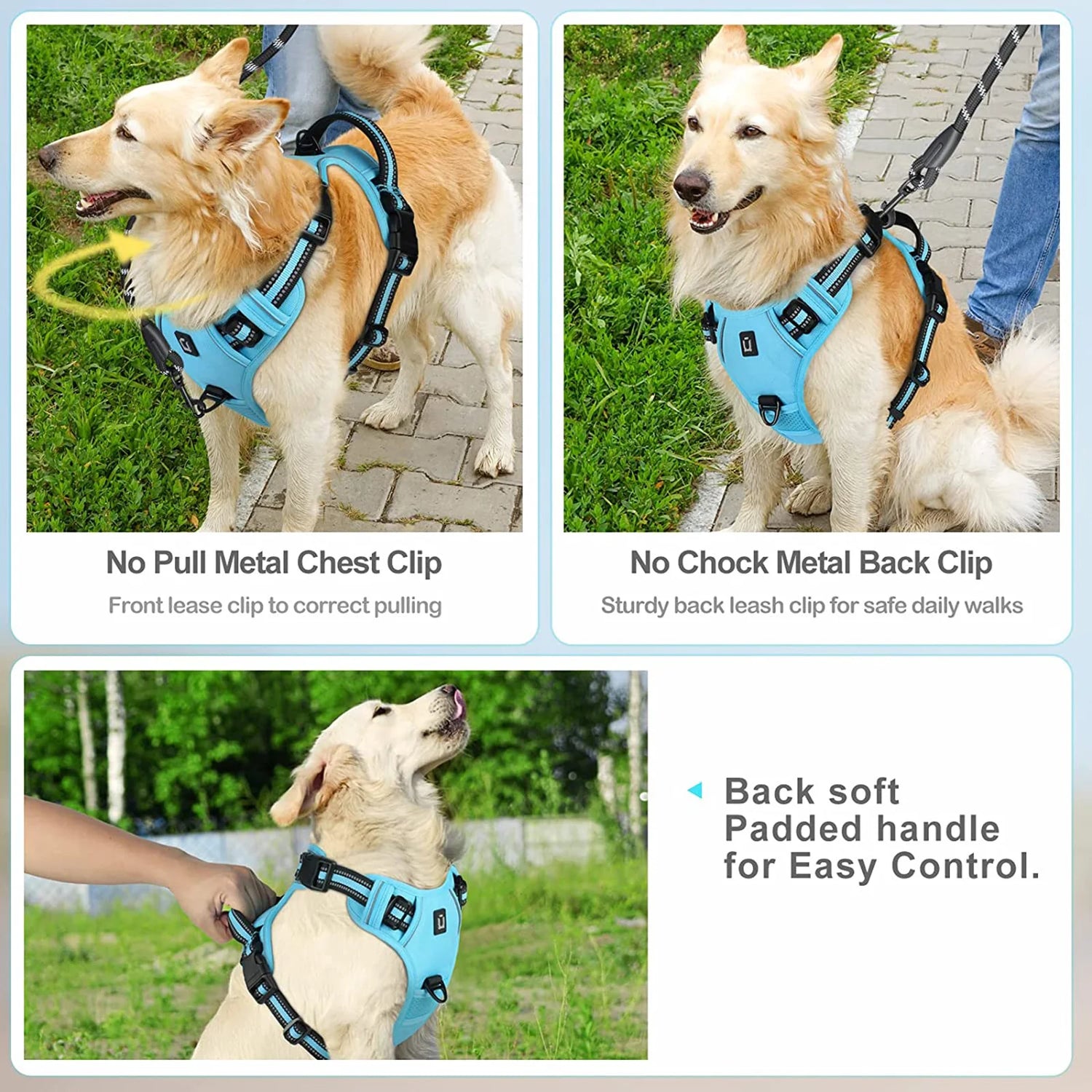 Sb2e389383ae44eba973c0b9c5b50912bc - bestdoggylife.shop