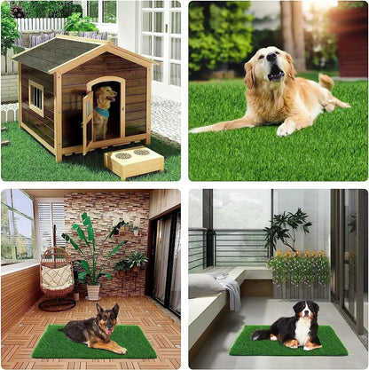 Sb2f0e7d2ed7a4ec3aab398b5d17c24a4H - bestdoggylife.shop