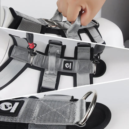 Reflective grey dog harness with handle and metal leash ring, shown in close-up details.