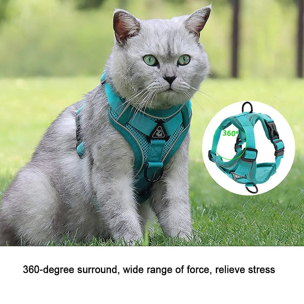 reflective cat harness and leash set breathable mesh teal harness on cat for secure outdoor walking