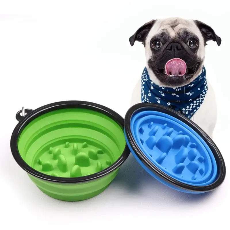 foldable slow feeder bowl for dogs and cats portable anti-choking pet bowl for travel with dog and cat