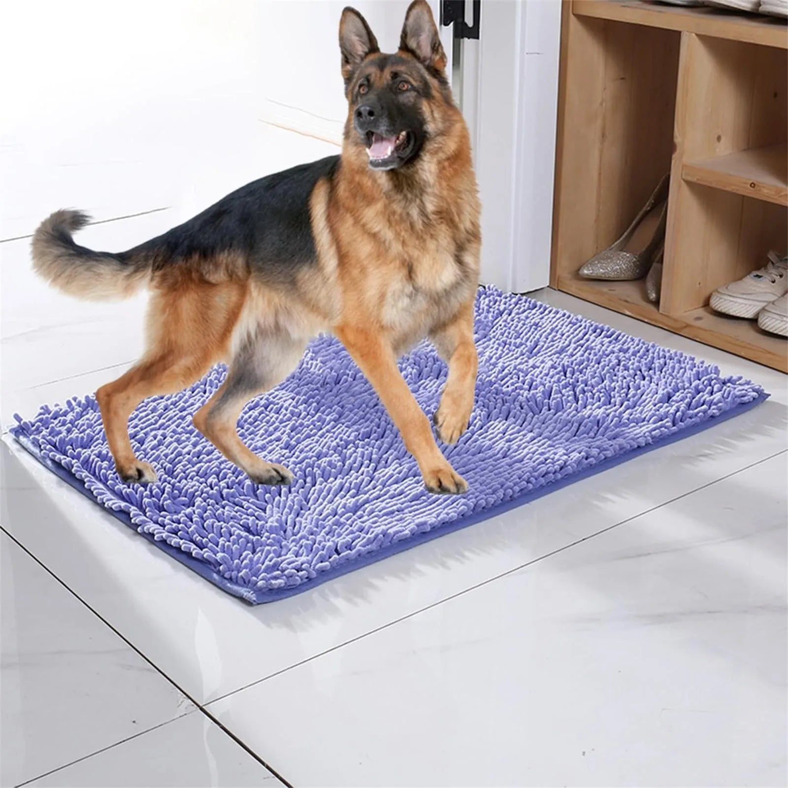Sb4177ed2c1114b8b9bc0d49348e64217K - bestdoggylife.shop