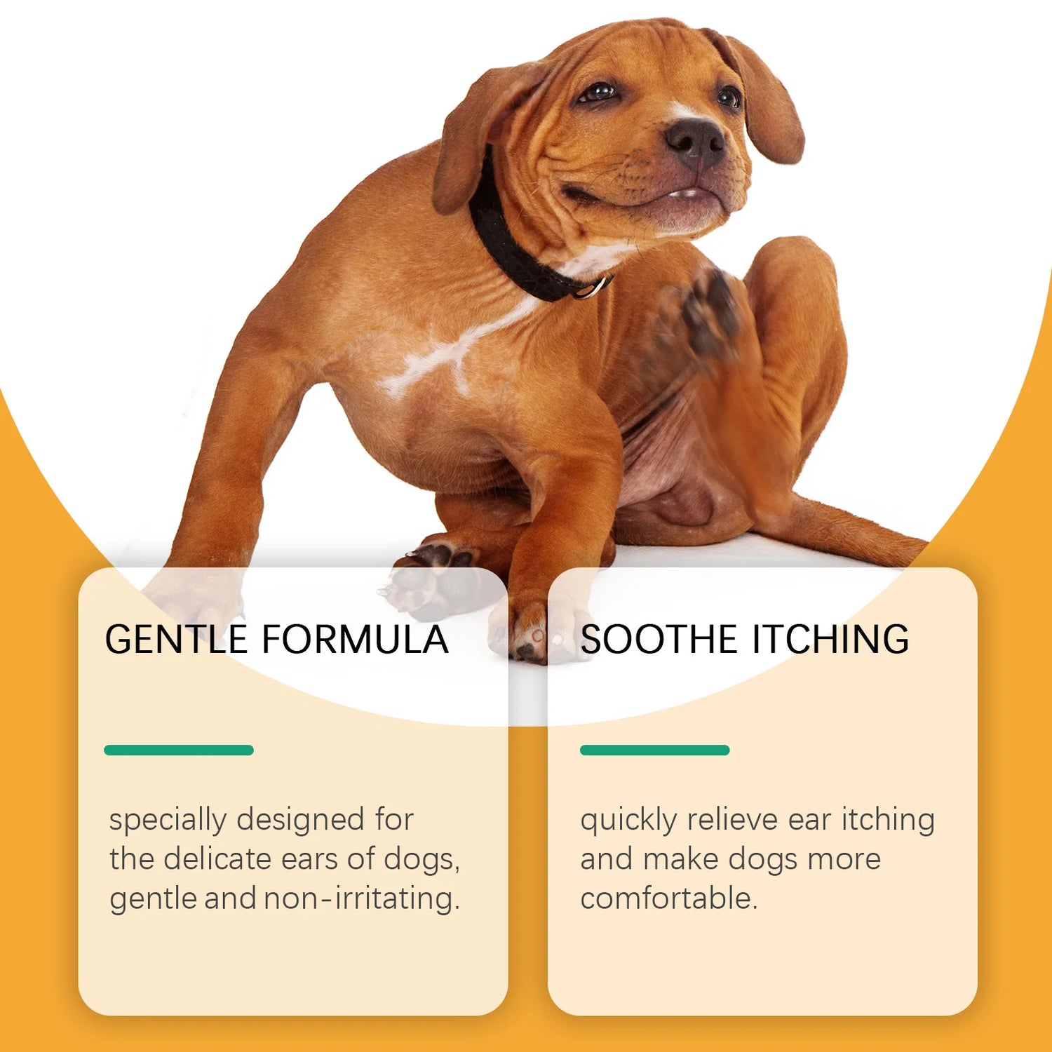Sb43777d5075b4193bae1f61939343674B_6aeb2bba-cb34-449f-8232-e084dca7ef89 - bestdoggylife.shop