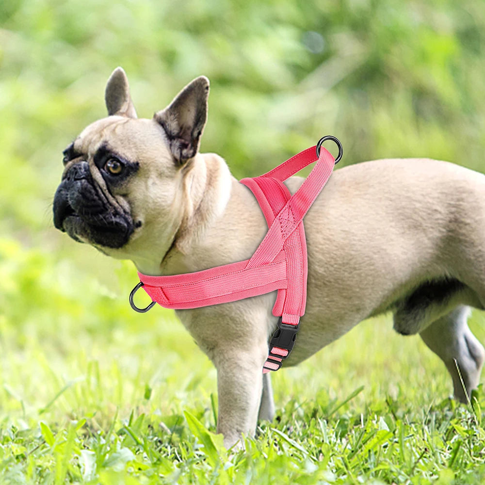 Pink no pull dog harness for small dogs, padded adjustable nylon vest for puppies