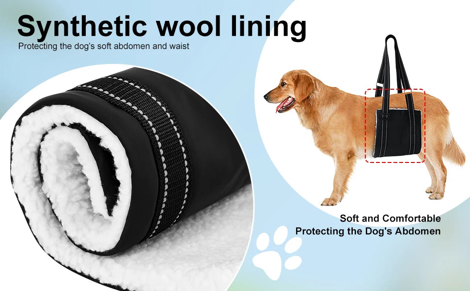Sb4ba4587ef814c4f80fa10ebbcc3287bo - bestdoggylife.shop