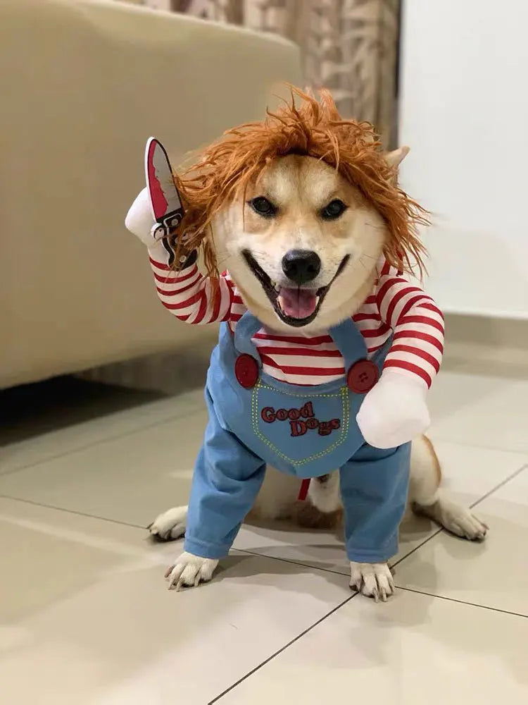 Dog in funny striped costume with red wig, overalls, and holding a toy knife indoors