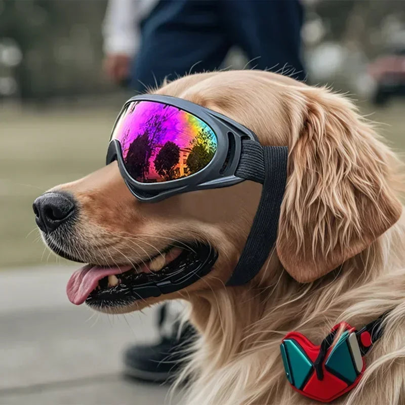 Sb5907b941bb041b68c1555ce5fc7dbd6F - bestdoggylife.shop