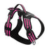 Sb59f06d6e38e429bbd9bbee9c79feeada - bestdoggylife.shop