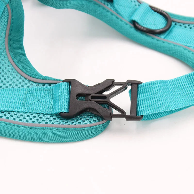 reflective cat harness and leash set, breathable mesh vest harness with buckle closure for small cats and kittens