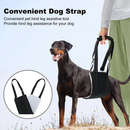 Sb67837dc0f7b4ad29bda791e7afdfbd1c_b9e87654-10c9-4804-b48a-4c03661a78d7 - bestdoggylife.shop