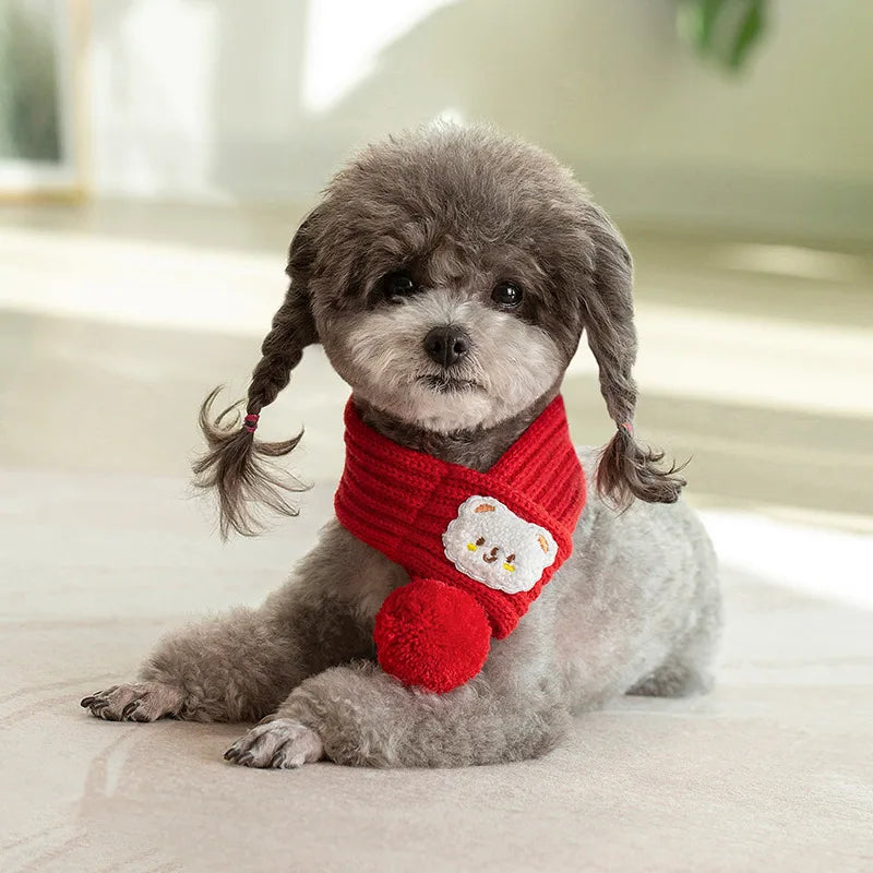 Small dog with pigtails wearing a red knit scarf with cute face patch and pompom indoors