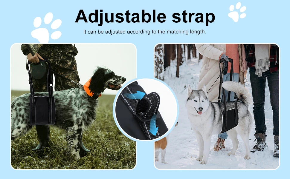 Sb67ff7bcaca24311af478784d83fea744_50419eb8-6f00-4ea3-8240-41e117a7d2ed - bestdoggylife.shop