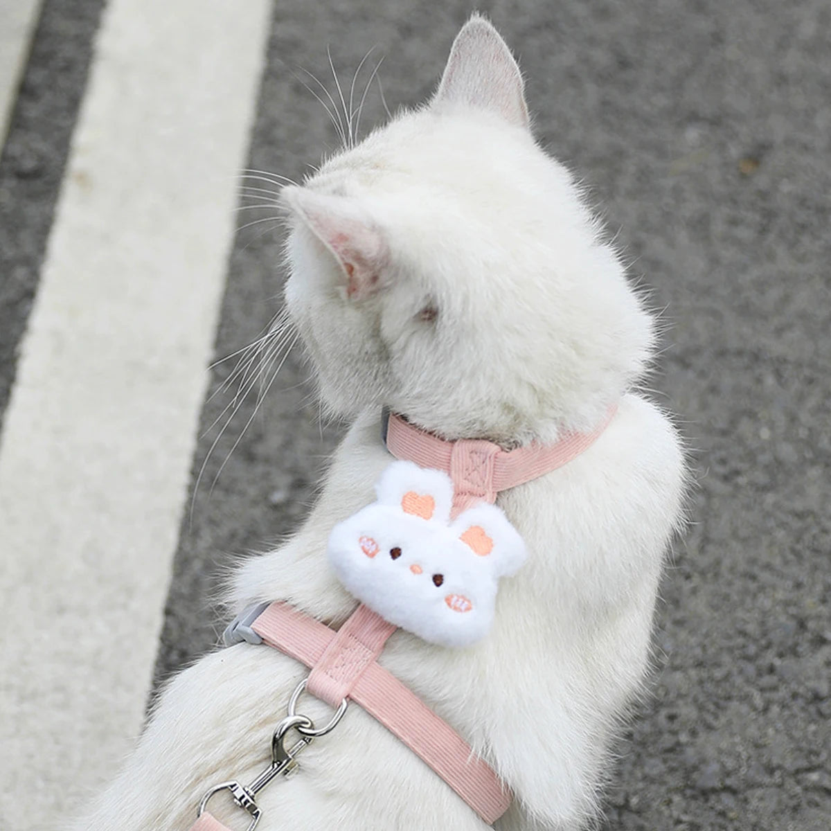 White cat wearing adjustable small dog harness leash set with pink straps and cute plush charm for safe outdoor walking