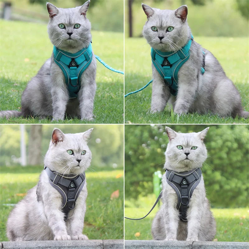 reflective cat harness and leash set on a gray cat outdoors, breathable padded mesh vest harness for small pets