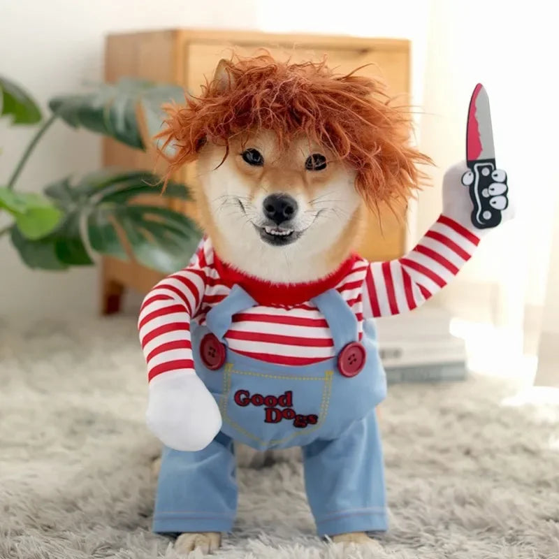 Shiba Inu dog in a striped Halloween costume with overalls, wig, and toy knife