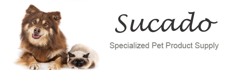 Happy brown dog and fluffy cat on white background, specialized pet product supply signage.