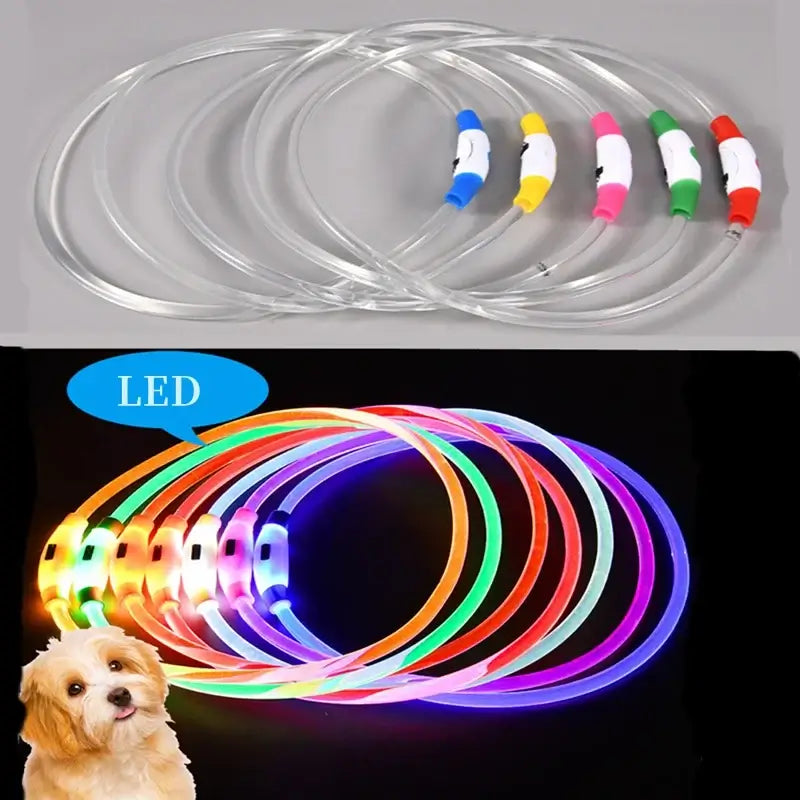 LED dog collar light for glowing nighttime pet safety, adjustable flashing leash collar with color options