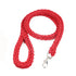 Sb95125ba39a040c9ba5696d7d8c2c8f19 - bestdoggylife.shop