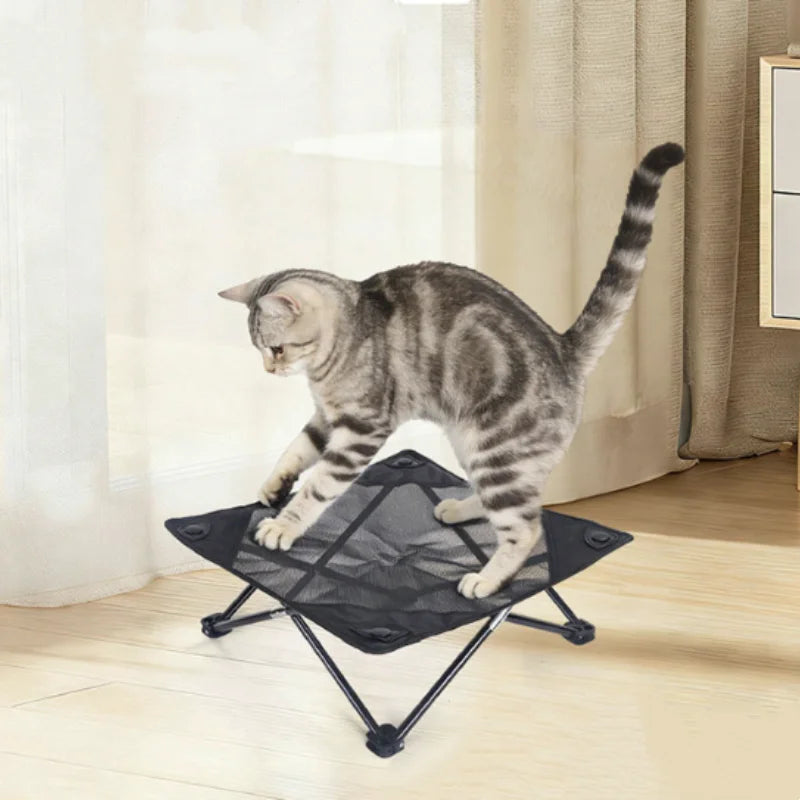 Cat standing on waterproof raised mesh dog bed for cooling, portable indoor pet bed for home, camping, balcony, and yard use.