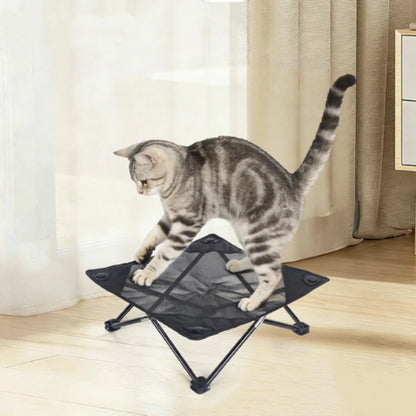 Cat standing on waterproof raised mesh dog bed for cooling, portable indoor pet bed for home, camping, balcony, and yard use.