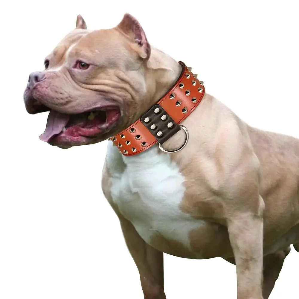 wide leather dog collar for large dogs, spiked studded padded brown and black genuine leather collar for Pitbull Rottweiler