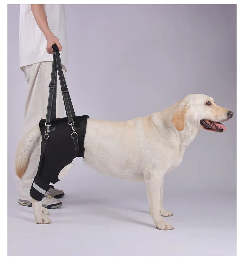 Sbac78a6b7e194dca9871f90e7d973050p - bestdoggylife.shop