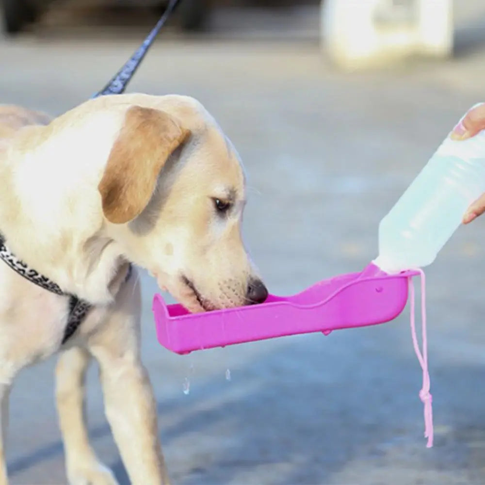 Portable pet water bottle for dogs, travel cup and drinking bowl for easy outdoor pet hydration