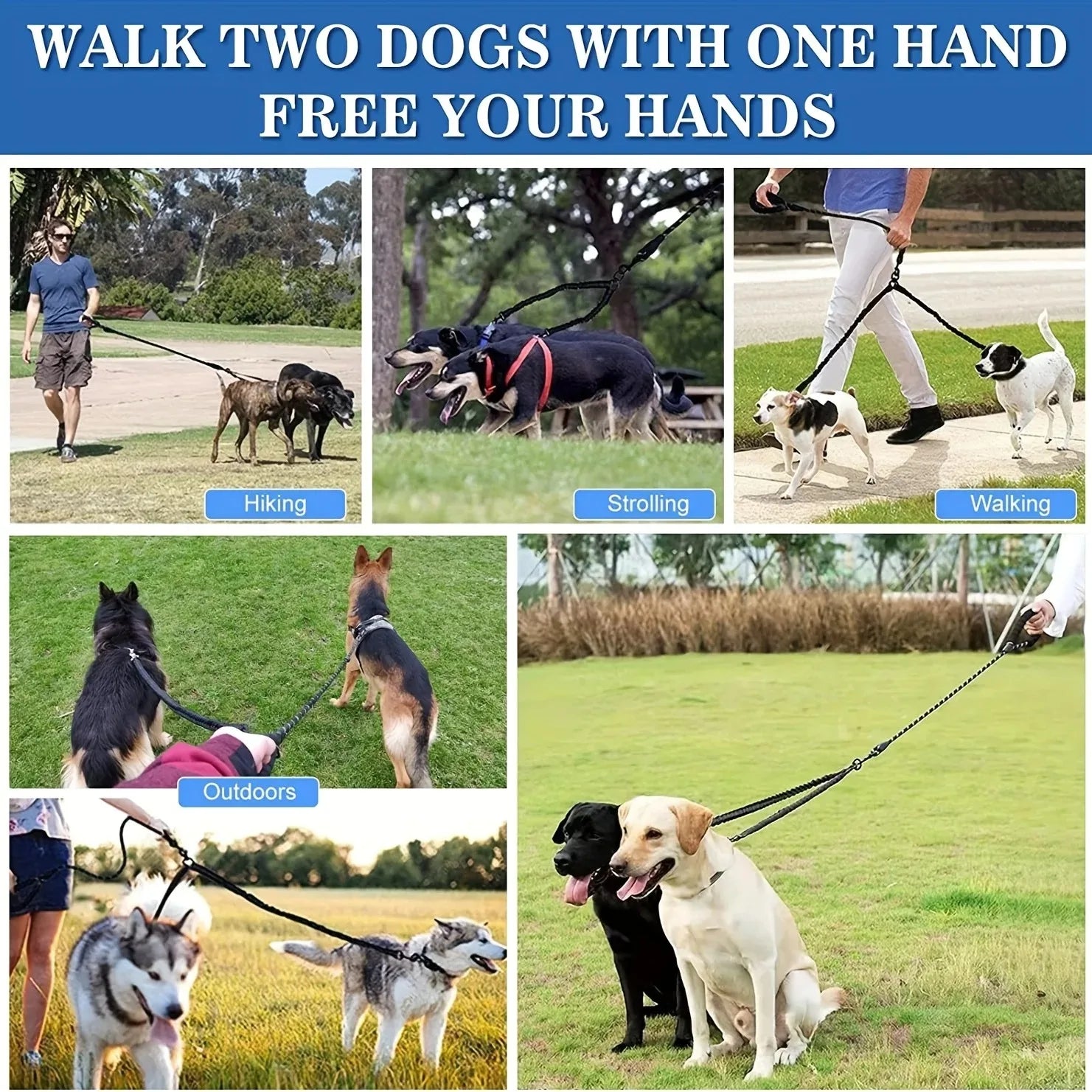 Sbb6fabe825294a2388ba7330d42b8195m - bestdoggylife.shop