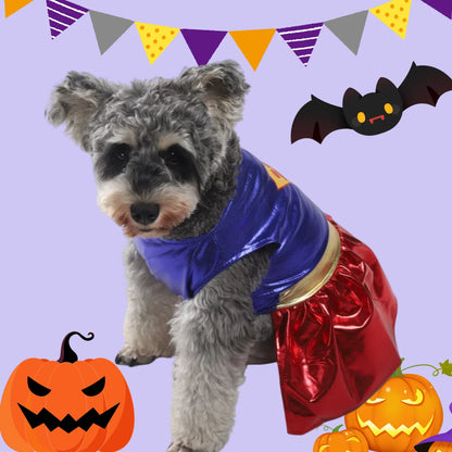 Small gray dog in superhero costume with Halloween decorations, pumpkins, bat and bunting.